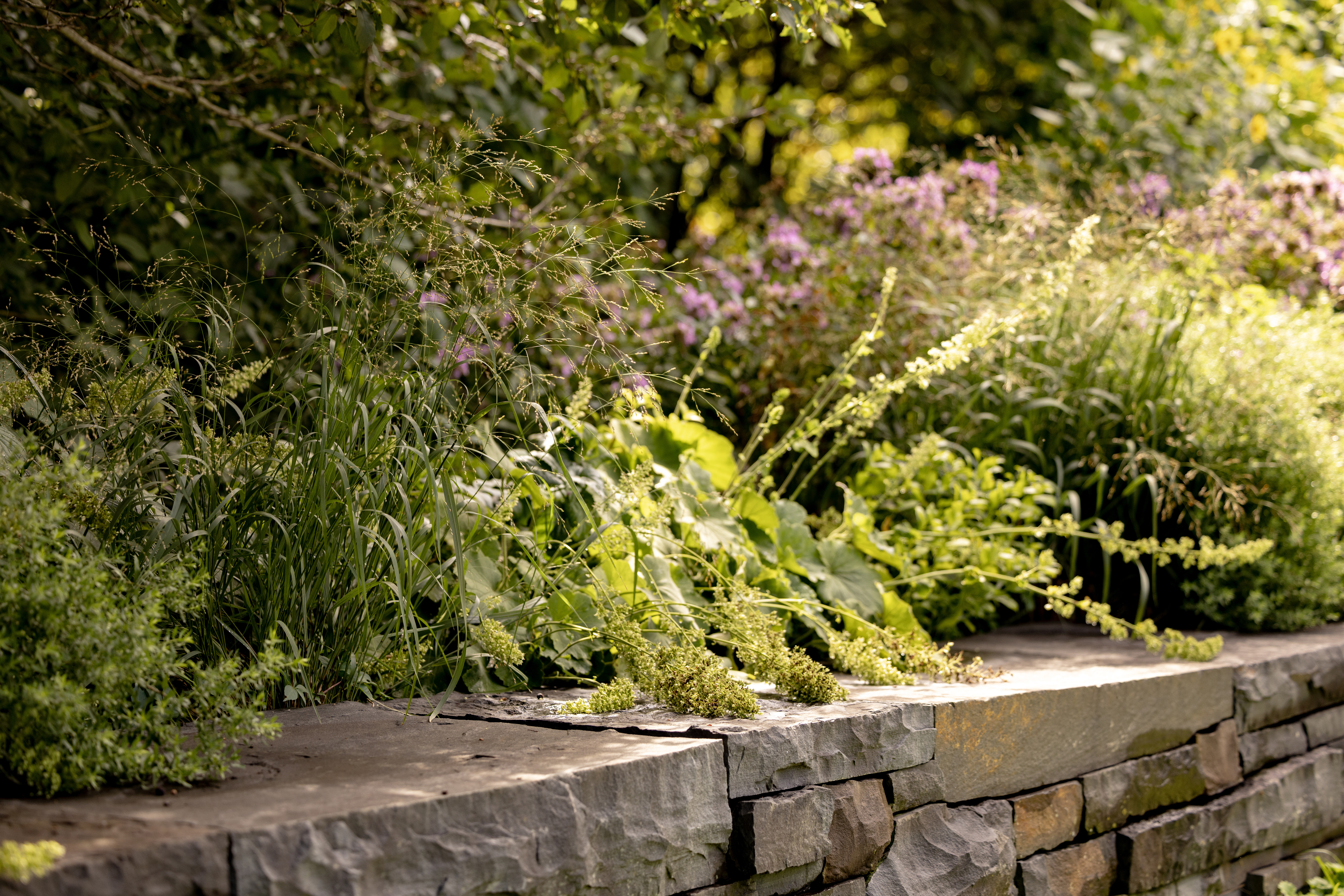 Residential landscape design New York City garden layout